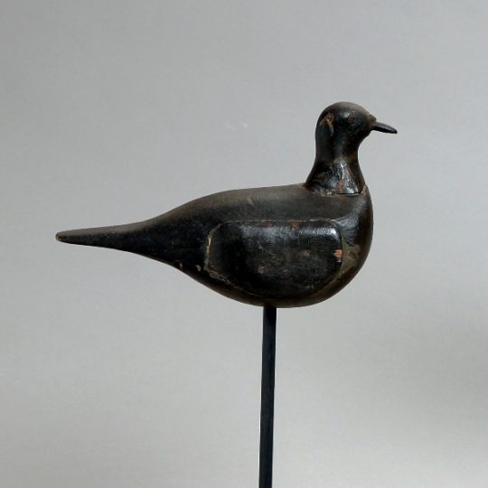 Decoy pigeon Sold