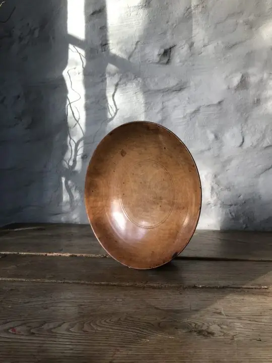 Welsh sycamore cream skimmer